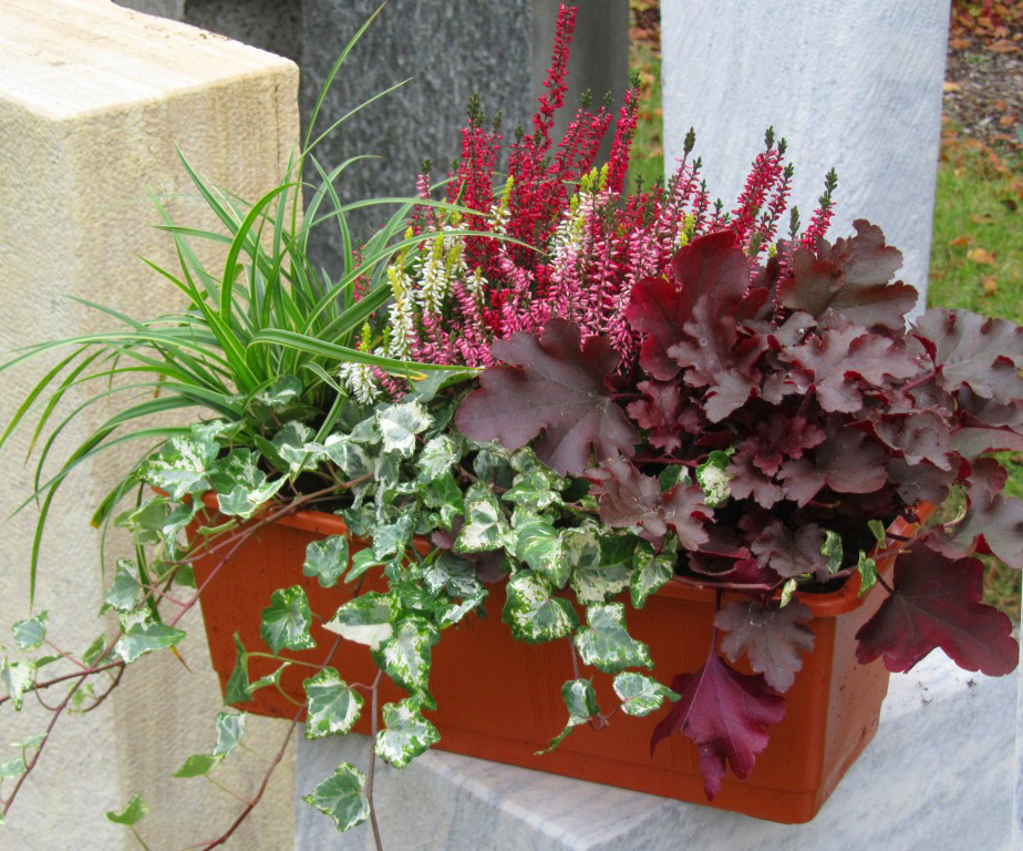 Blumenkasten Auswahlen Und Richtig Bepflanzen Living At Home