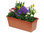Pflanzen-Set für 40 cm  Balkonkästen-Frühling