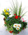 Pflanzen Set für Schale und Kübel mittelgroß Frühling