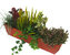 Balkonpflanzen-Set für Balkonkasten   80 cm lang