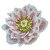 Helleborus orientalis  'Cindarella'-  Lenzrose  rosa gefüllt 17 cm Topf
