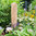 Wildbienenhotel Dekosäule 80 cm  von Gardigo