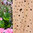 Wildbienenhotel Dekosäule 80 cm  von Gardigo
