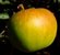 Apfel 'Jakob Lebel' MM 111 - Halbstamm - Alte Apfelsorte 1900